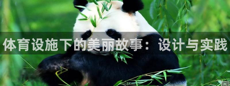 意昂4集团E.ON：体育设施下的美丽故事：设计与实践