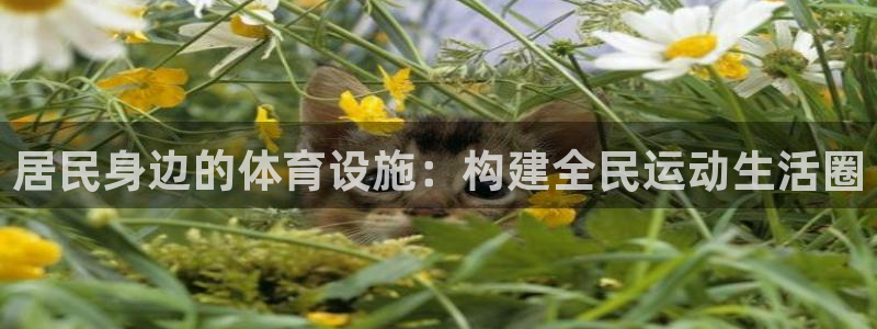 意昂体育4招商电话号码是多少号：居民身边的体育设施：构建全民