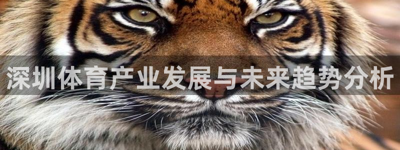 意昂体育4平台假的吗是真的吗：深圳体育产业发展与未来
