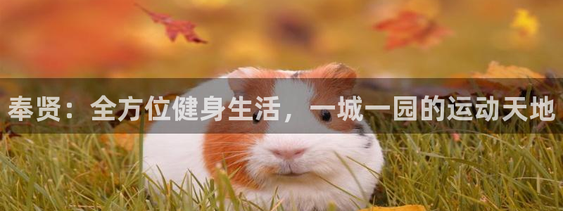 意昂4娱乐是那个系列的台子：奉贤：全方位健身生活，一