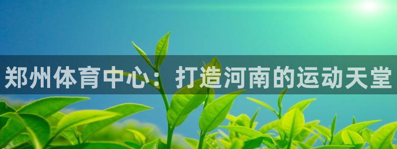 海南意昂体育4发展怎么样：郑州体育中心：打造河南的运动天堂