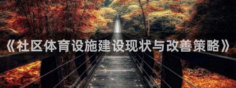 意昂4集团E.ON：《社区体育设施建设现状与改善策略