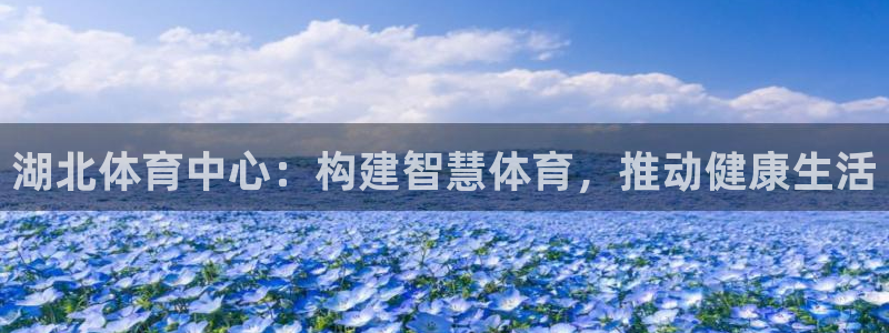 意昂体育4平台注册要钱吗：湖北体育中心：构建智慧体育