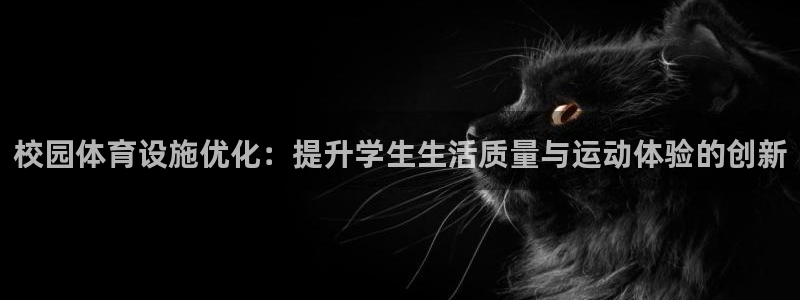 德国意昂4集团：校园体育设施优化：提升学生生活质量与