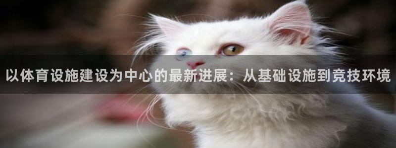 意昂体育4招商电话是多少：以体育设施建设为中心的最新