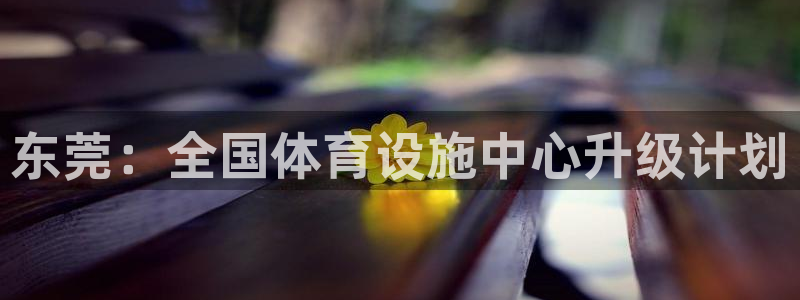 意昂体育4：东莞：全国体育设施中心升级计划 