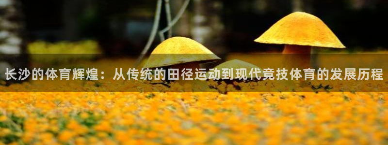 意昂体育4娱乐：长沙的体育辉煌：从传统的田径运动到现代竞技体 