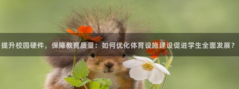 意昂4集团官网网址：提升校园硬件，保障教育质量：如何
