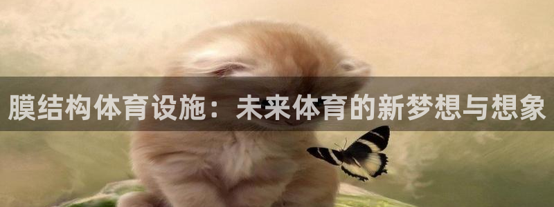 海南意昂体育4：膜结构体育设施：未来体育的新梦想与想
