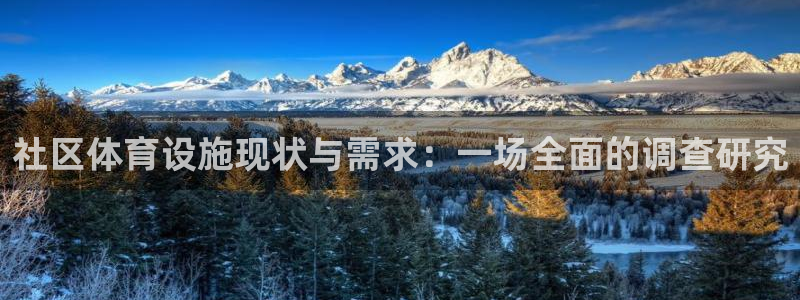 意昂体育4开户：社区体育设施现状与需求：一场全面的调