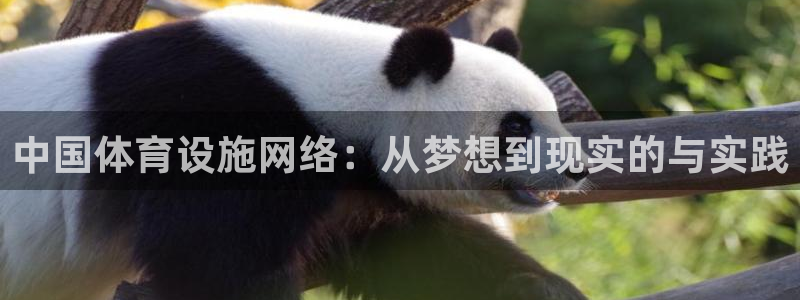 意昂体育4：中国体育设施网络：从梦想到现实的与实践