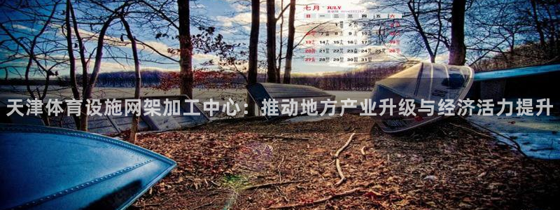 意昂体育4是干嘛的公司：天津体育设施网架加工中心：推