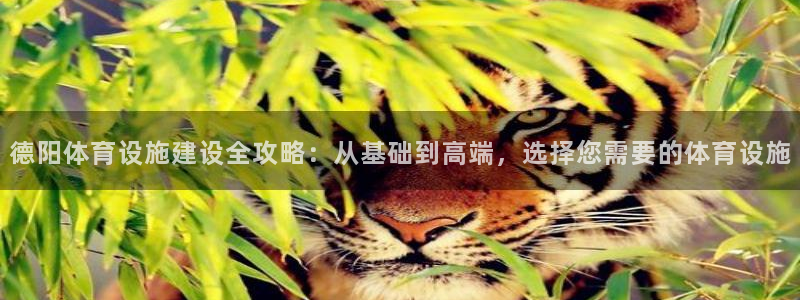 意昂体育4注册：德阳体育设施建设全攻略：从基础到高端，选择您