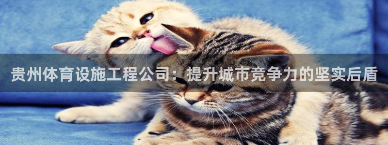 意昂集团官网：贵州体育设施工程公司：提升城市竞争力的坚实后盾
