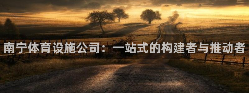 意昂4娱乐首页官网下载：南宁体育设施公司：一站式的构