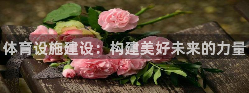 意昂体育4招商电话号码是多少：体育设施建设：构建美好未来的力