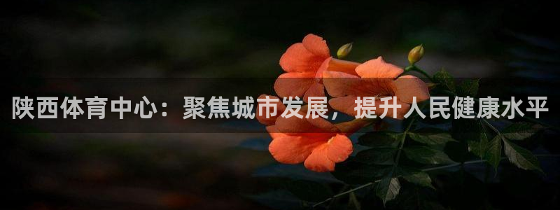 意昂体育4开户：陕西体育中心：聚焦城市发展，提升人民健康水平