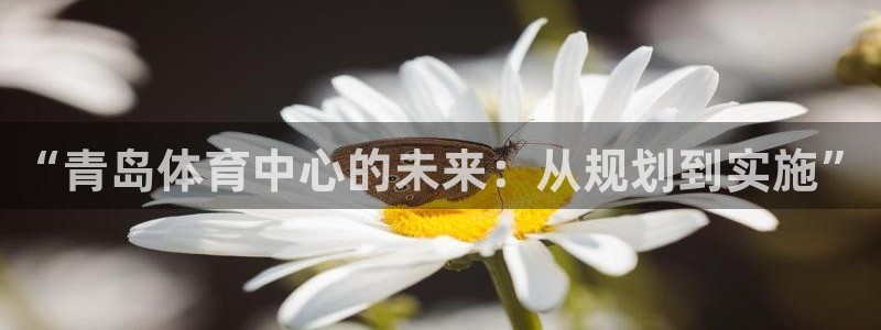 意昂4集团官网首页网址：“青岛体育中心的未来：从规划到实施”
