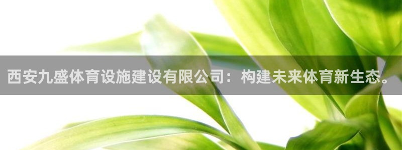 意昂4娱乐网站：西安九盛体育设施建设有限公司：构建未来体育新