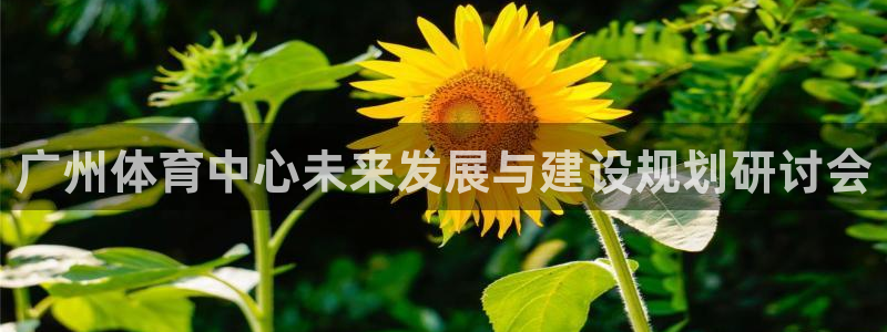 意昂体育4平台注册流程图：广州体育中心未来发展与建设规划研讨 