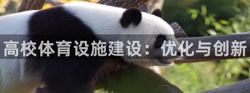 意昂4新能源：高校体育设施建设：优化与创新