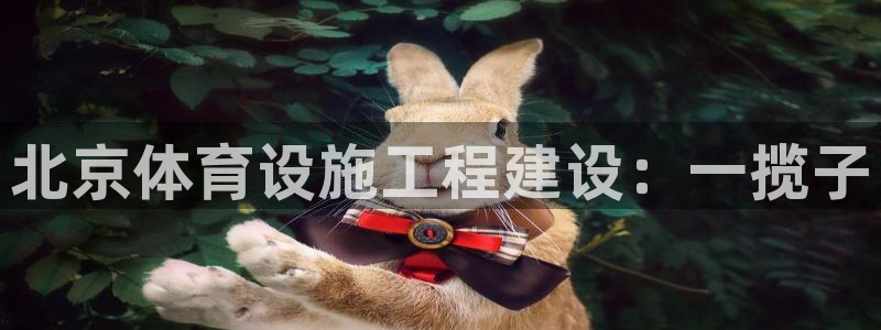 意昂4新能源：北京体育设施工程建设：一揽子