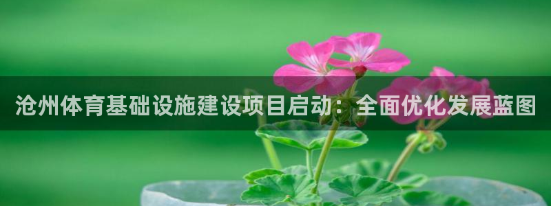 意昂体育4娱乐：沧州体育基础设施建设项目启动：全面优化发展蓝